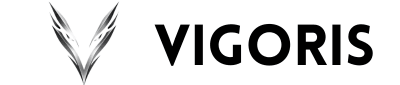 Vigoris – Criação de Sites Profissionais e SEO